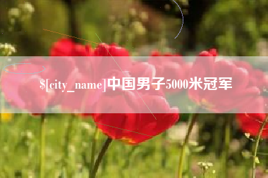 泰安中国男子5000米冠军