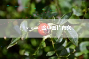 泰安金牌图片真实