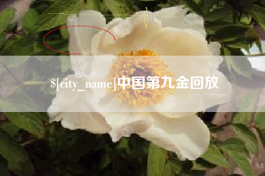泰安中国第九金回放