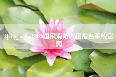 泰安2020国家消防救援报名系统官网