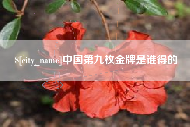 泰安中国第九枚金牌是谁得的