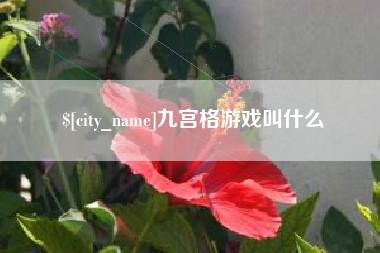 泰安九宫格游戏叫什么