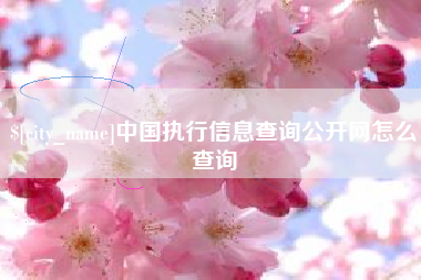 泰安中国执行信息查询公开网怎么查询