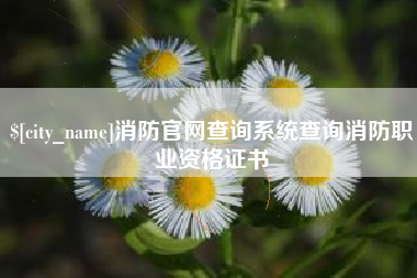 泰安消防官网查询系统查询消防职业资格证书