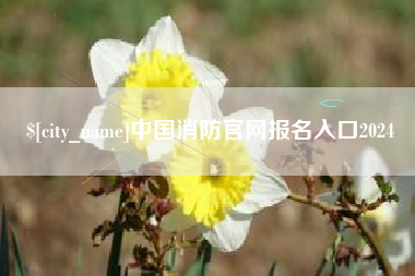 泰安中国消防官网报名入口2024