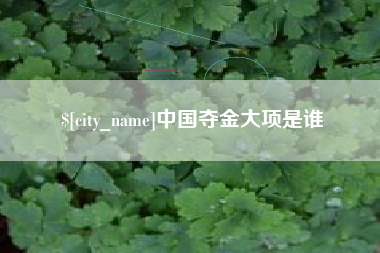 泰安中国夺金大项是谁