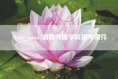 泰安消防救援学院报考条件