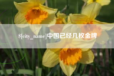 泰安中国已经几枚金牌