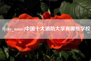 泰安中国十大消防大学有哪些学校