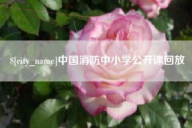 泰安中国消防中小学公开课回放
