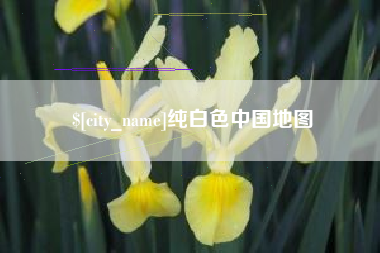 泰安纯白色中国地图
