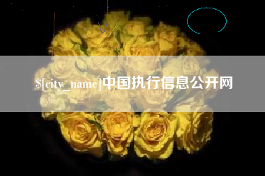 泰安中国执行信息公开网
