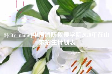 泰安中国消防救援学院2020年在山东招生计划表