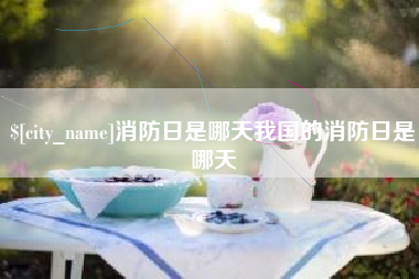 泰安消防日是哪天我国的消防日是哪天