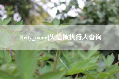 泰安失信被执行人杳询