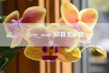 泰安邱县王子磊