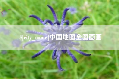 泰安中国地图全图画画