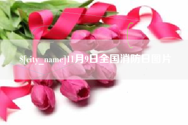 泰安11月9日全国消防日图片
