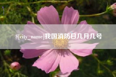 泰安我国消防日几月几号