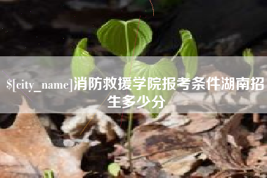 泰安消防救援学院报考条件湖南招生多少分