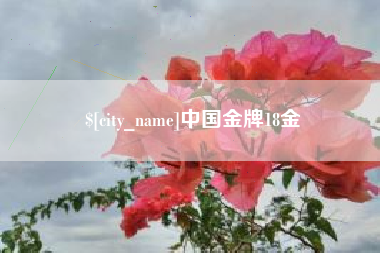 泰安中国金牌18金