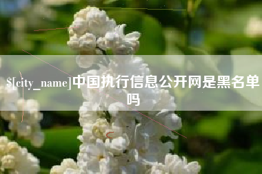 泰安中国执行信息公开网是黑名单吗