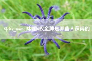 泰安中国6枚金牌是哪些人获得的
