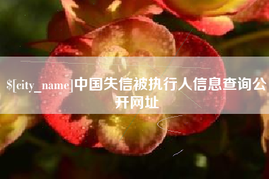 泰安中国失信被执行人信息查询公开网址