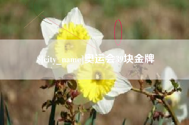 泰安奥运会39块金牌