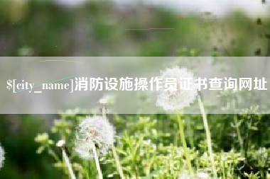 泰安消防设施操作员证书查询网址