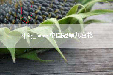 泰安中国冠军九宫格