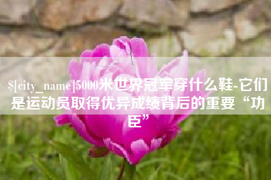 泰安5000米世界冠军穿什么鞋-它们是运动员取得优异成绩背后的重要“功臣”