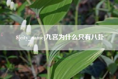 泰安九宫为什么只有八卦
