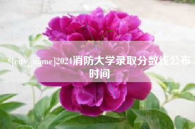 泰安2024消防大学录取分数线公布时间