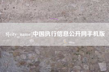 泰安中国执行信息公开网手机版