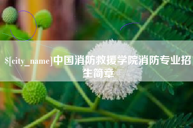 泰安中国消防救援学院消防专业招生简章