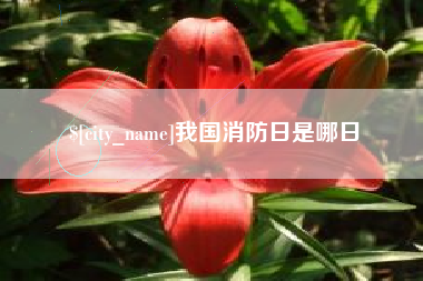 泰安我国消防日是哪日
