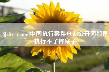 泰安中国执行案件查询公开网都是执行不了得案子