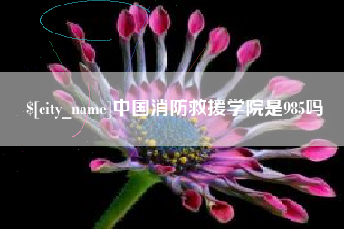 泰安中国消防救援学院是985吗