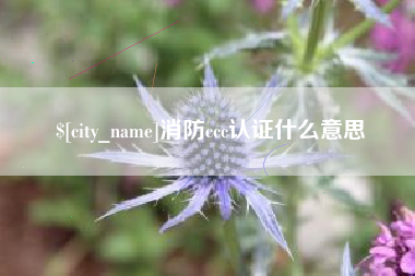 泰安消防ccc认证什么意思