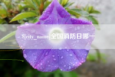 泰安全国消防日哪一