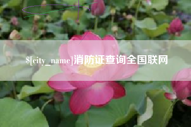 泰安消防证查询全国联网