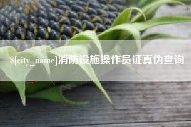 泰安消防设施操作员证真伪查询