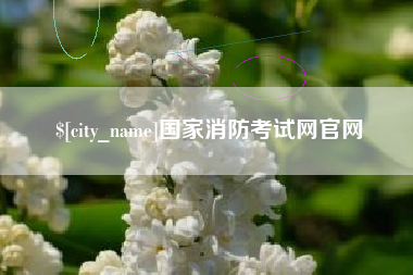 泰安国家消防考试网官网