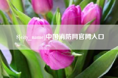 泰安中国消防网官网入口