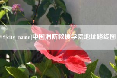泰安中国消防救援学院地址路线图