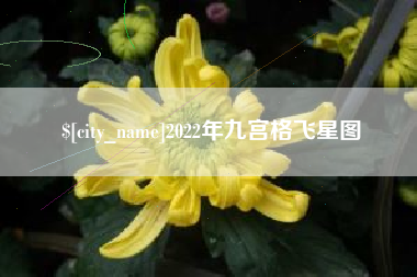泰安2022年九宫格飞星图