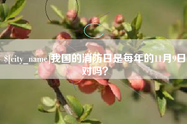 泰安我国的消防日是每年的11月9日对吗？