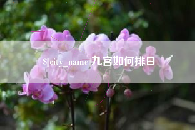 泰安九宫如何排日