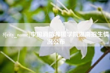 泰安中国消防救援学院湖南招生情况公布